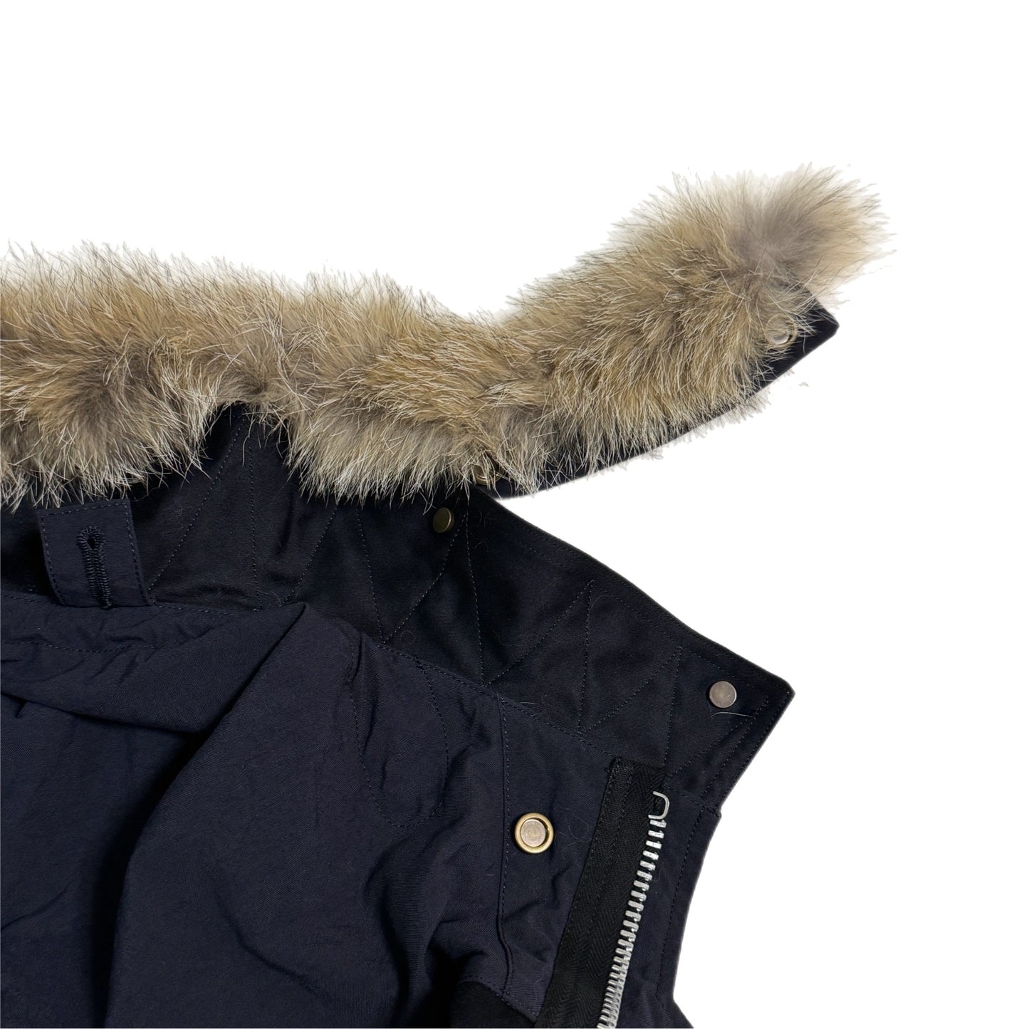 AUBERGE / MOD シーアイランドコットン M48モッズパーカ