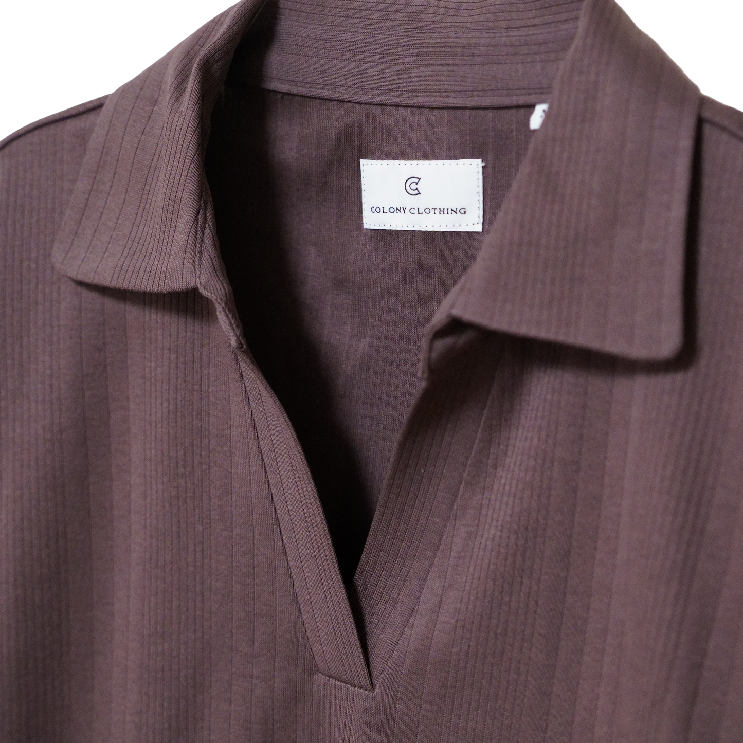 COLONY CLOTHING / スキッパーポロ / CC2601-T02